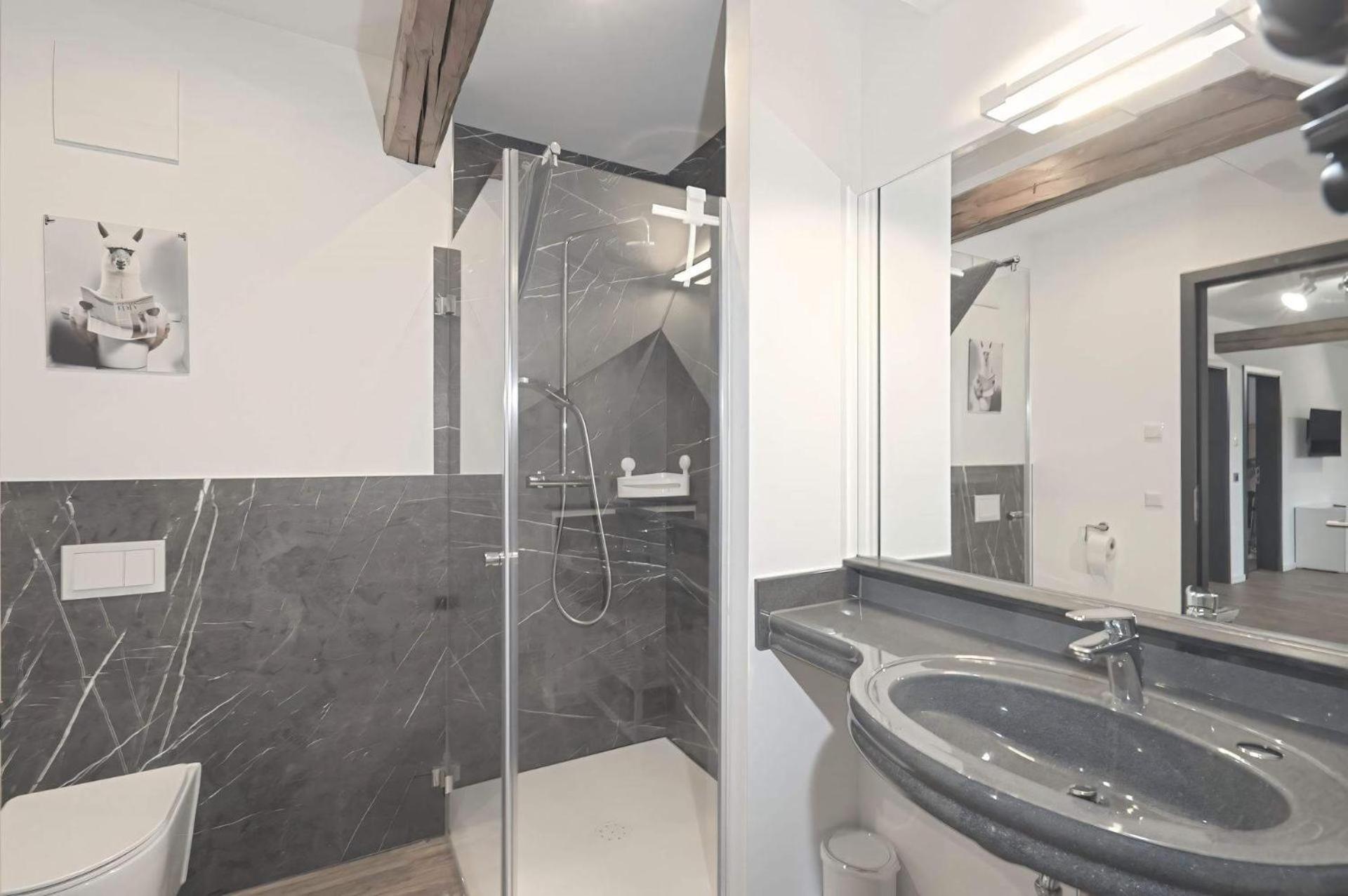 Apartmán Ferienquartier- Forsthaus Bad Gottleuba Exteriér fotografie