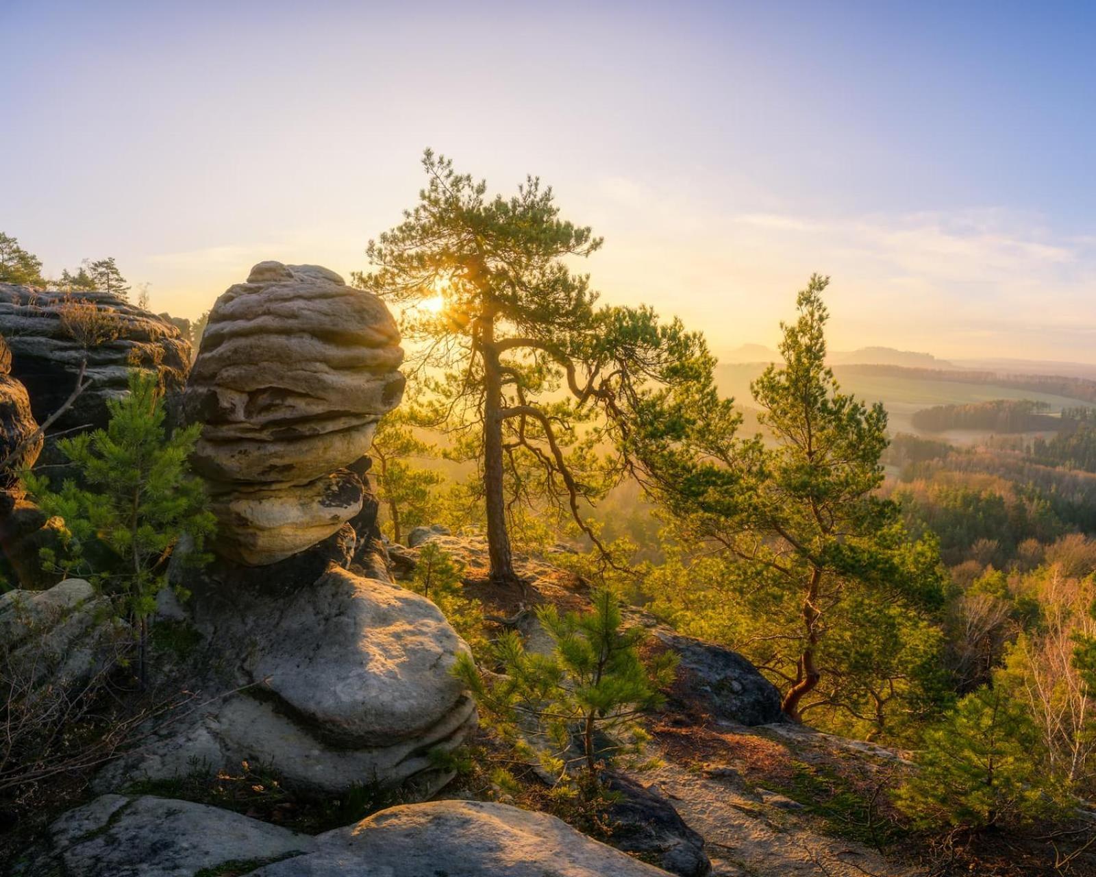 Apartmán Ferienquartier- Forsthaus Bad Gottleuba Exteriér fotografie